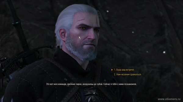 Квест "В волчьей шкуре" в игре Ведьмак 3: как снять проклятие с Моркварга?