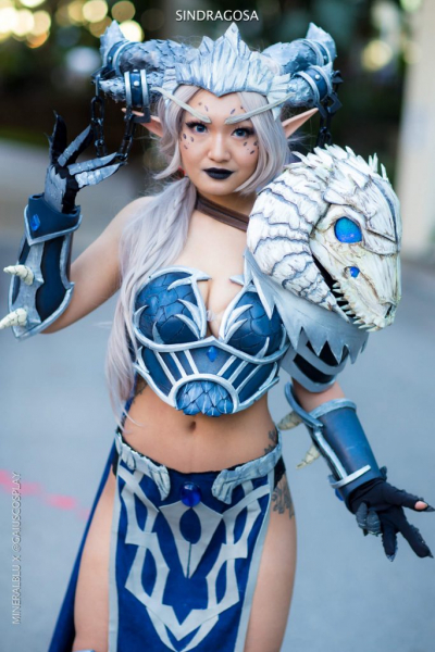 Косплей с BlizzCon 2018 поражает