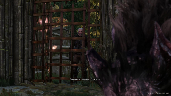 Квест "В волчьей шкуре" в игре Ведьмак 3: как снять проклятие с Моркварга?