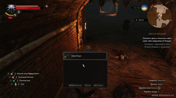 Убить или пощадить Ублюдка Младшего в игре Ведьмак 3: прохождение миссии "Охота за младшим"