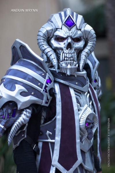 Косплей с BlizzCon 2018 поражает