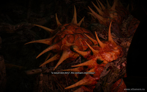 Квест "Шепчущий холм" в игре Ведьмак 3 - варианты прохождения и правильное решение