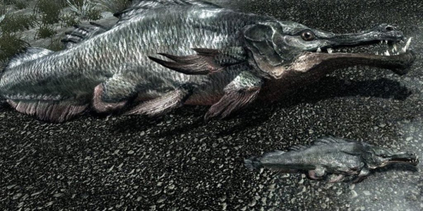 Существа из Skyrim по знакам зодиака