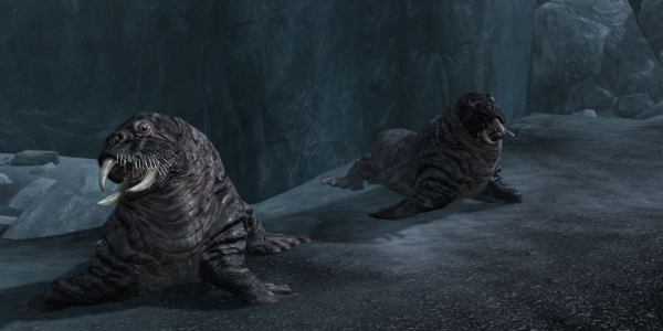 Существа из Skyrim по знакам зодиака