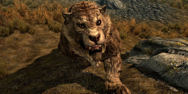 Существа из Skyrim по знакам зодиака